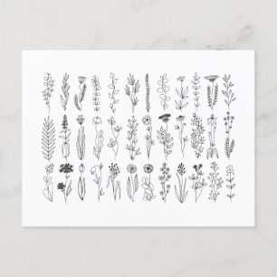 Flowers And Herbs Ink Drawing Postcard