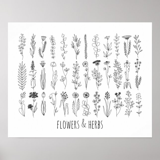 Flowers And Herbs Ink Drawing Poster (Front)