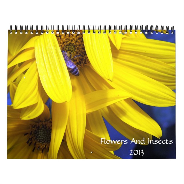 flowers And Insects 2013 Calendar (Cover)