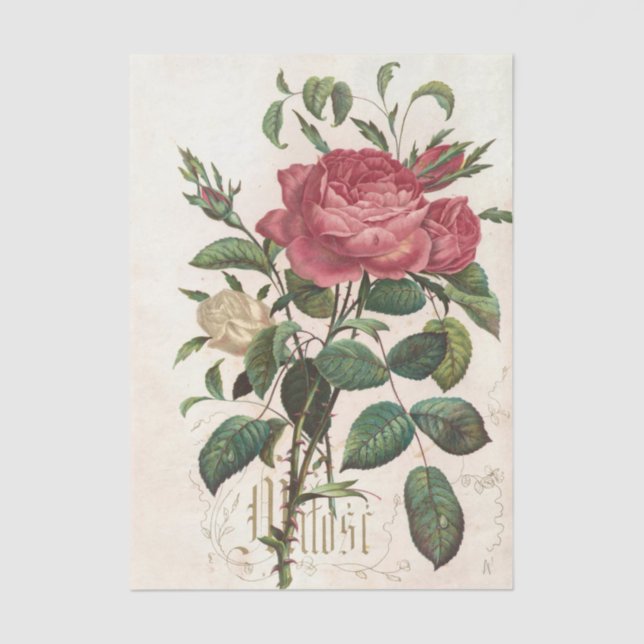 Flowers and Poems Pl. 7 by Maksymilian Fajans Tissue Paper (Front)