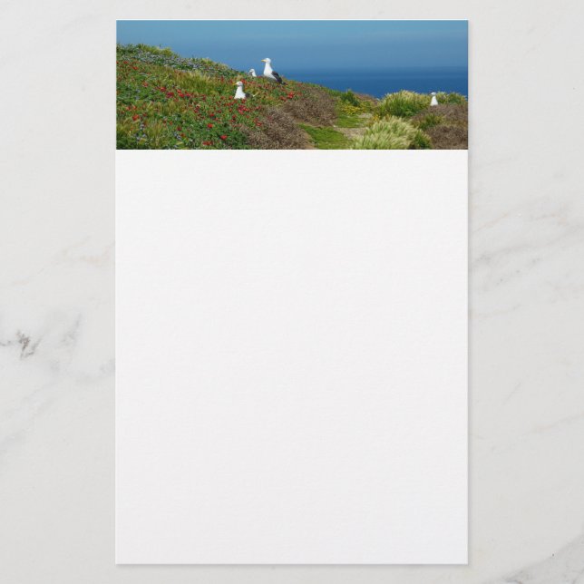 Flowers and Seagulls on Anacapa Island Stationery (Front)
