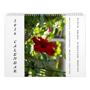 FLOWERS AND SHADOW FAIRIES 2026 CALENDAR