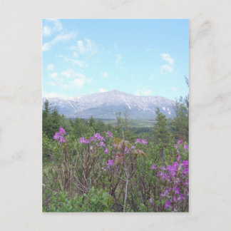 Flowers and the Mountain Postcard