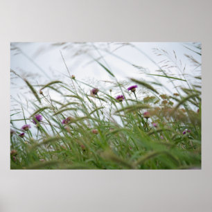 Flowers and Weeds poster