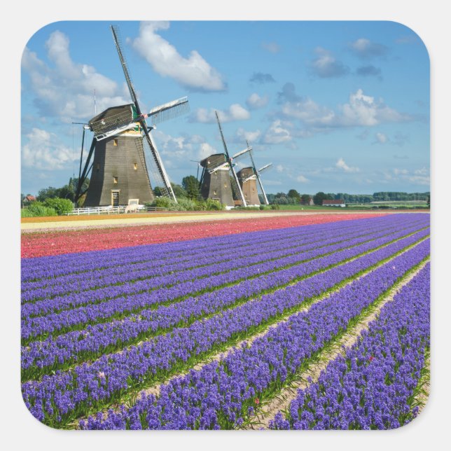 Flowers and windmills photo sticker (Front)