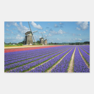 Flowers and windmills rectangular sticker
