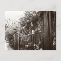 Flowers and Wrought Iron Fence, Tilt-Shift, B&W