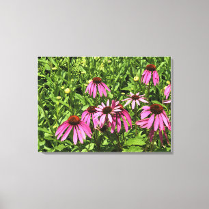 Flowers at Chateau Morrisette Winery, Floyd, VA Canvas Print