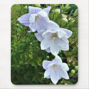 Flowers at Chateau Morrisette Winery, Floyd, VA Mouse Mat