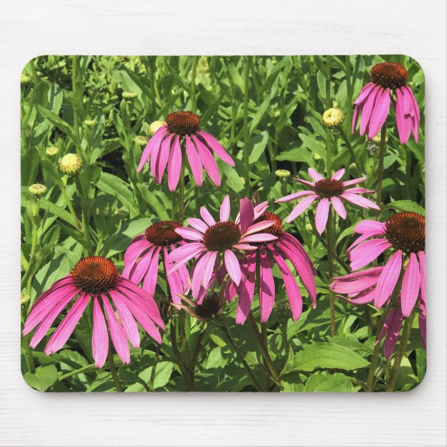 Flowers at Chateau Morrisette Winery, Floyd, VA Mouse Mat (Front)