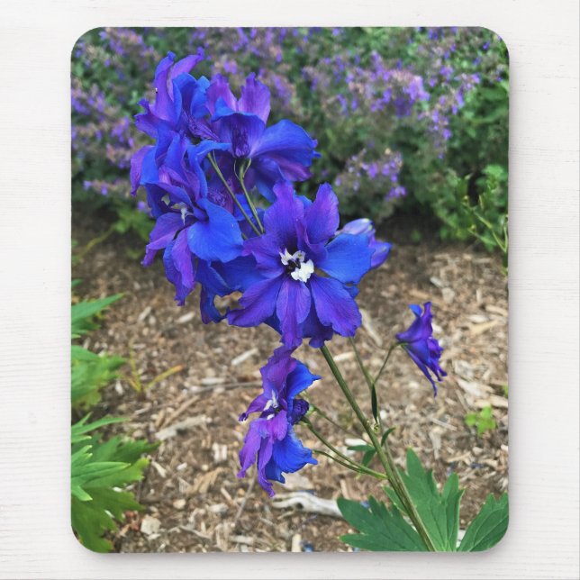 Flowers at Chateau Morrisette Winery, Floyd, VA Mouse Mat (Front)