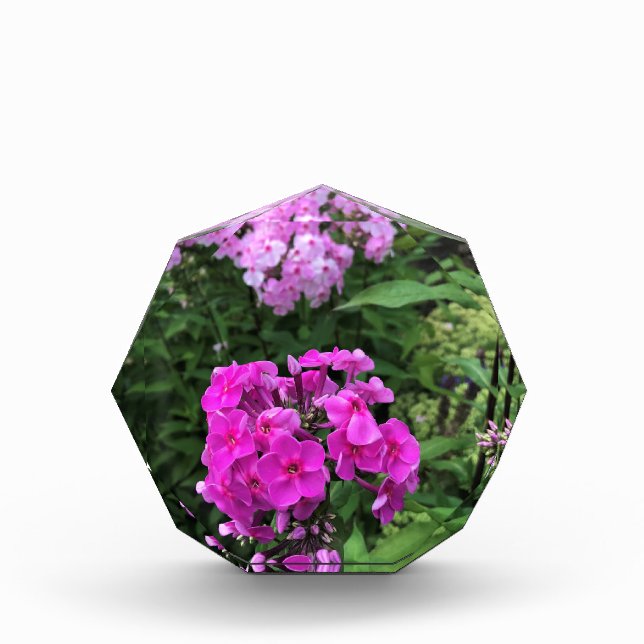 Flowers at Chateau Morrisette Winery, Floyd, VA Photo Block (Front)