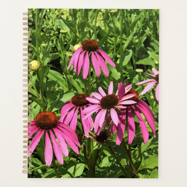 Flowers at Chateau Morrisette Winery, Floyd, VA Planner (Front)