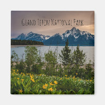 Flowers at Colter Bay