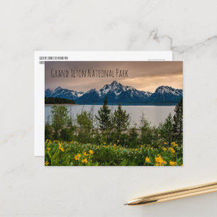 Flowers at Colter Bay Postcard