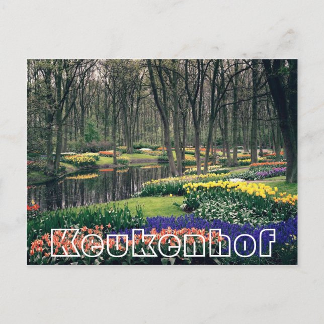 Flowers at  Keukenhof, woodland and canal Postcard (Front)