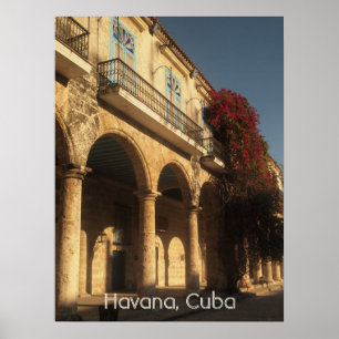 Flowers at Plaza de la Catedral, Havana Poster