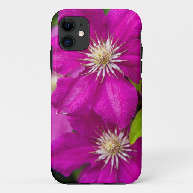 Flowers at Robinette's Apple Haus and Gift Barn 2 Case-Mate iPhone Case (Back)