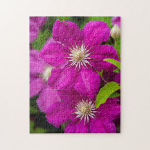 Flowers at Robinette's Apple Haus and Gift Barn 2 Jigsaw Puzzle