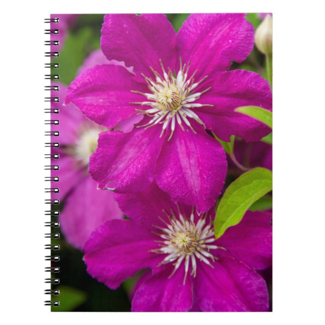 Flowers at Robinette's Apple Haus and Gift Barn 2 Notebook (Front)