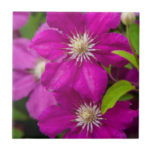 Flowers at Robinette's Apple Haus and Gift Barn 2 Tile