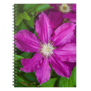 Flowers at Robinette's Apple Haus and Gift Barn Notebook