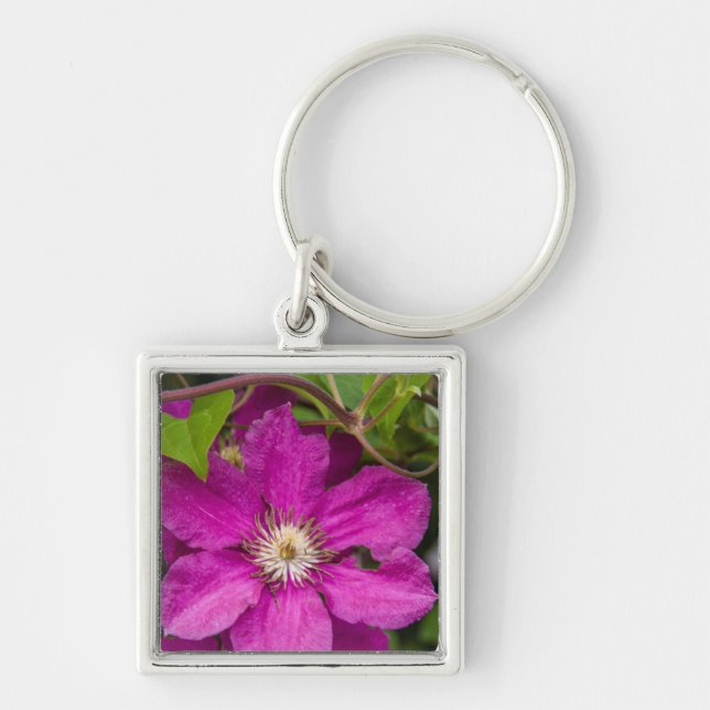 Flowers At Robinette's Apple Haus & Gift Barn Key Ring (Front)