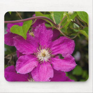 Flowers At Robinette's Apple Haus & Gift Barn Mouse Mat