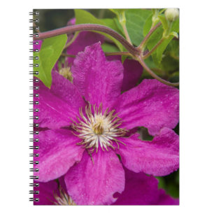 Flowers At Robinette's Apple Haus & Gift Barn Notebook