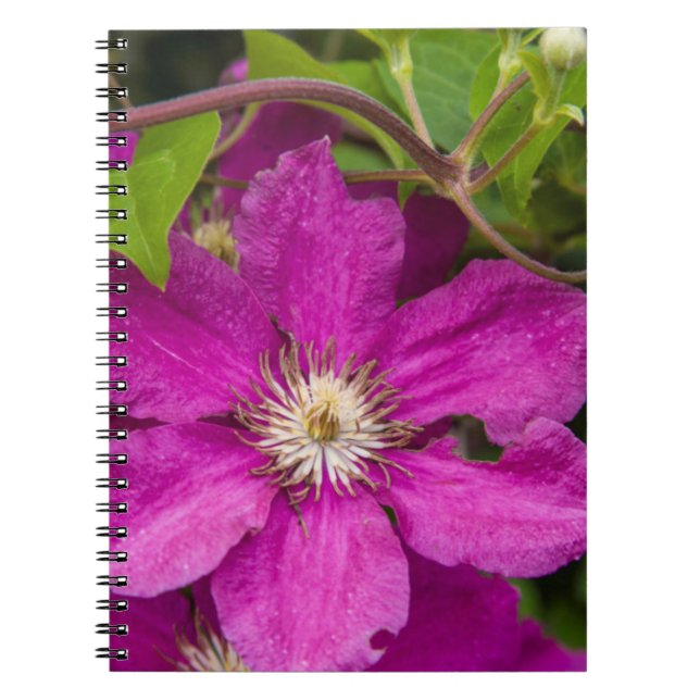Flowers At Robinette's Apple Haus & Gift Barn Notebook (Front)