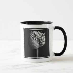 Flowers   B&W Allium Flower Bud Mug