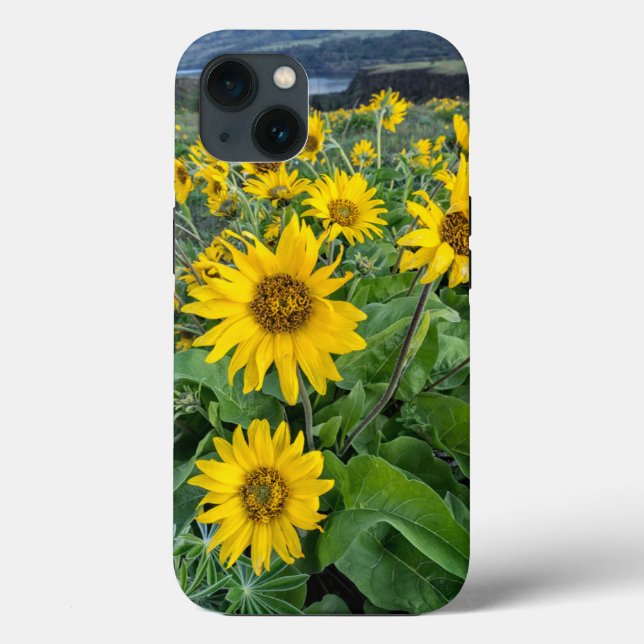 Flowers | Balsomroot Columbia River, Oregon Case-Mate iPhone Case (Back)