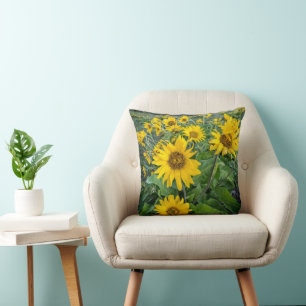 Flowers   Balsomroot Columbia River, Oregon Cushion