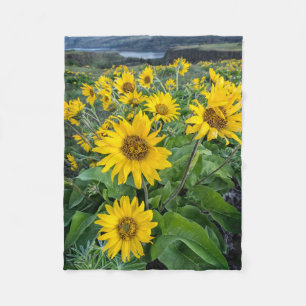 Flowers   Balsomroot Columbia River, Oregon Fleece Blanket