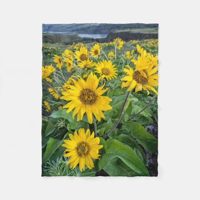 Flowers | Balsomroot Columbia River, Oregon Fleece Blanket (Front)