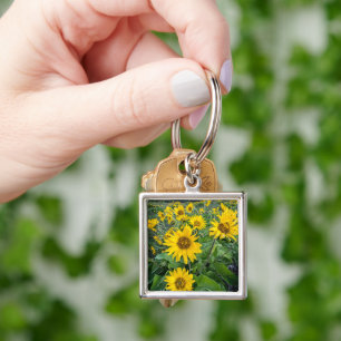 Flowers   Balsomroot Columbia River, Oregon Key Ring