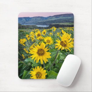 Flowers   Balsomroot Columbia River, Oregon Mouse Mat