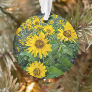 Flowers Balsomroot Columbia River, Oregon Ornament