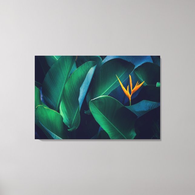 Flowers | Bird of Paradise Canvas Print (Front)