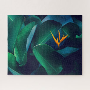 Flowers   Bird of Paradise Jigsaw Puzzle