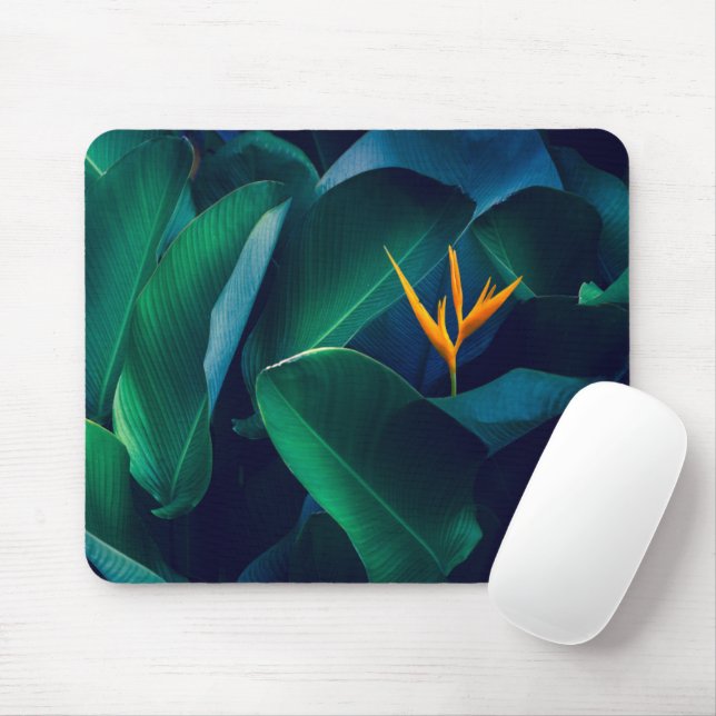 Flowers | Bird of Paradise Mouse Mat (With Mouse)