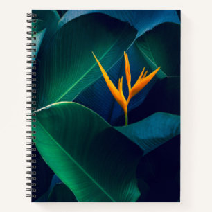 Flowers Bird of Paradise Notebook