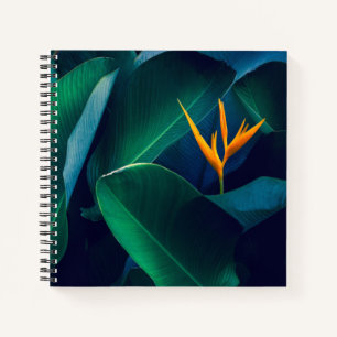 Flowers Bird of Paradise Notebook