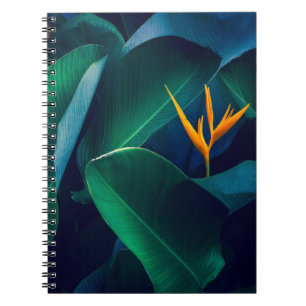 Flowers Bird of Paradise Notebook