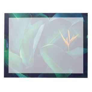 Flowers   Bird of Paradise Notepad