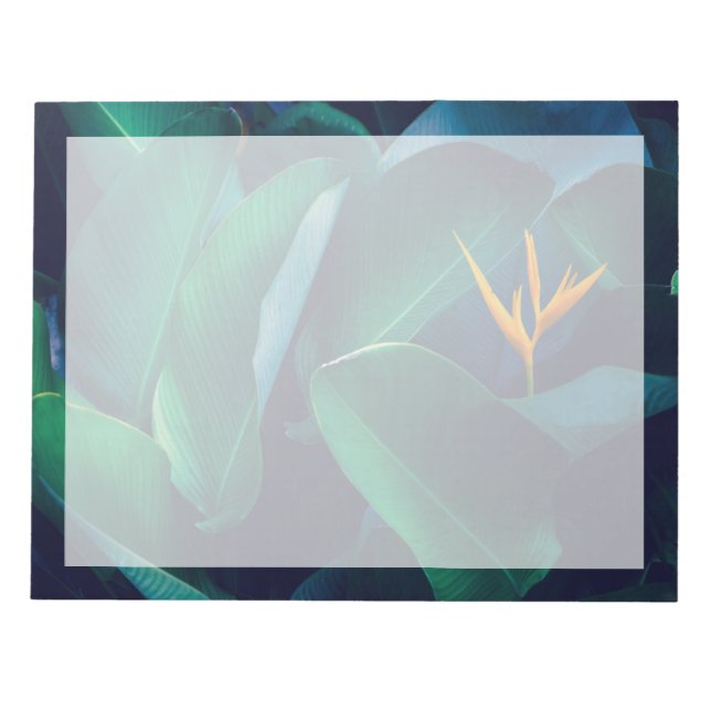 Flowers | Bird of Paradise Notepad (Front)