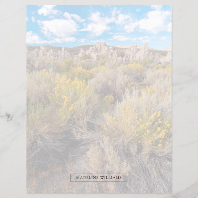 Flowers | Blooming Sagebrush California (Front)