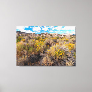 Flowers   Blooming Sagebrush California Canvas Print
