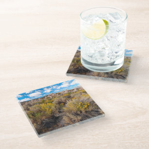 Flowers   Blooming Sagebrush California Glass Coaster