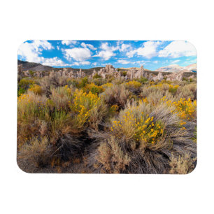 Flowers Blooming Sagebrush California Magnet